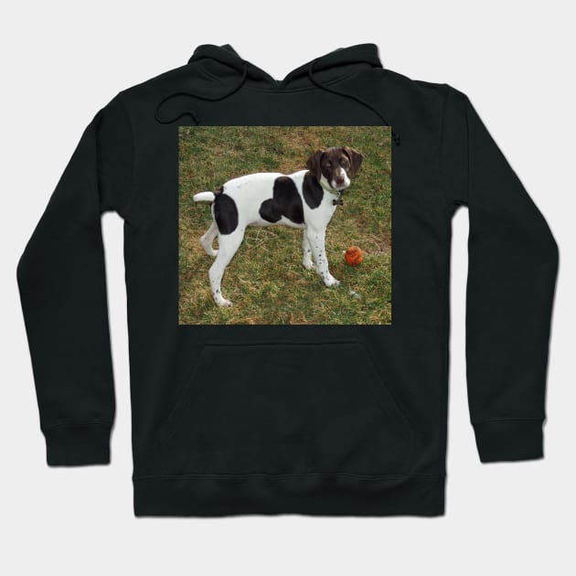 german shorthaired pointer liver and white puppy with toy Hoodie by Wanderingangel